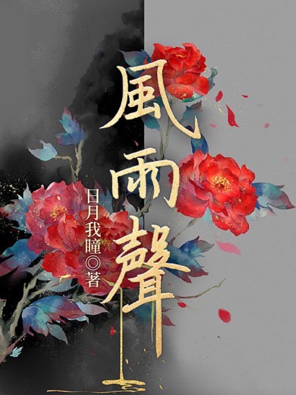风雨声拼音