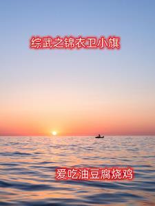 综武锦衣卫小旗全文免费阅读