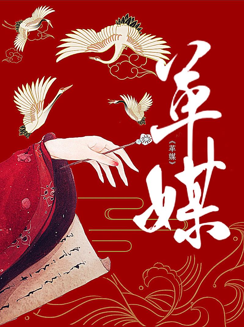 媒婆被状元郎强取豪夺后君可乐